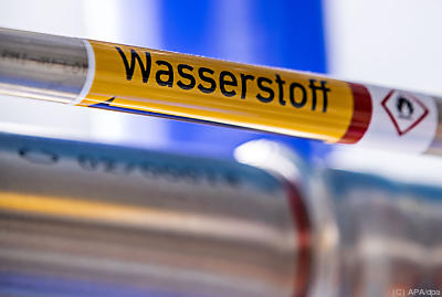 Schritt hin zur Klimaneutralität der Wirtschaft
 - Laage, APA/dpa