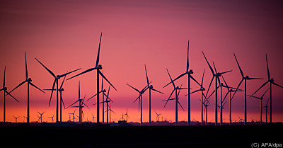 Ein Windpark für die Energiewende
 - Bordelum, APA/dpa