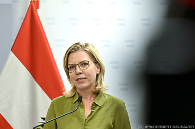 Thema war die Modernisierung der Energiesysteme - Wien, APA/HERBERT NEUBAUER