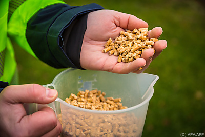 Österreich ist bei Pellets ein Exportland – IMAVERE, APA/AFP Österreich ist bei Pellets ein Exportland - IMAVERE, APA/AFP