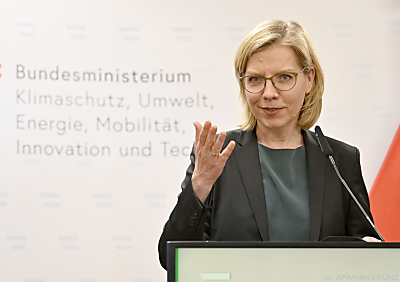 Energieministerin Leonore Gewessler - Wien, APA/HANS PUNZ