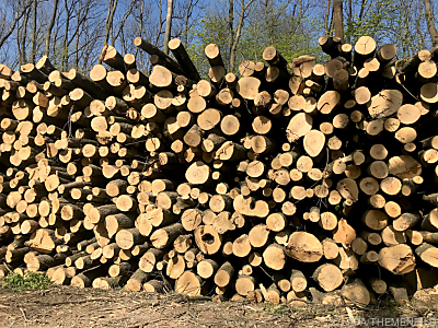 Papierindustrie leidet unter hohen Preisen - Wien, APA/THEMENBILD