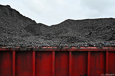 In der Not setzt die Klimaschutz-Ministerin auf Kohle - Jakarta, APA/AFP