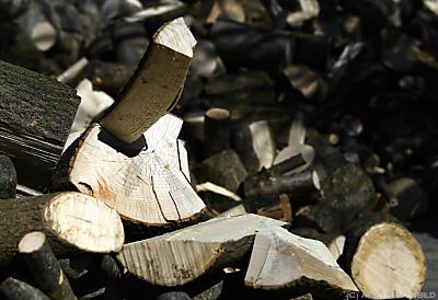 Vielen Unternehmen geht das Brennholz aus - Gänserndorf, APA/THEMENBILD