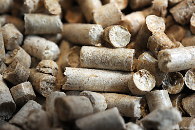 Händler könnten die Nachfrage bedienen, aber nicht alle gleichzeitig – Stuttgart, APA/dpa Händler könnten die Nachfrage bedienen, aber nicht alle gleichzeitig - Stuttgart, APA/dpa