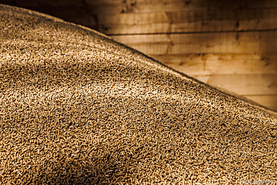 Lage soll sich bald bessern – Berlin, APA/AFP Lage soll sich bald bessern - Berlin, APA/AFP