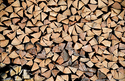 Holz steht im Mittelpunkt - Hürm, APA/THEMENBILD