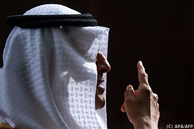 Der Opec+ gehören 23 Ölländer an, darunter Saudi-Arabien - Vienna, APA/AFP