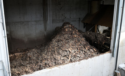 Biomasse soll breit genutzt werden
 - Ybbs, APA/THEMENBILD