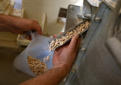 Holzpellets um fast ein Drittel teurer
 - Ybbs, APA/THEMENBILD
