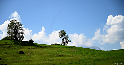 Weniger Mobilität erfreut die Umwelt
 - Kuchl, APA