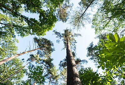 Das Klima beschäftigt junge Österreicher - Stuttgart, APA/dpa