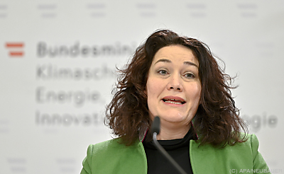 Man arbeite mit einem "lernenden System", so Felipe
 - Wien, APA/NEUBAUER