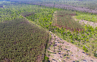Klimaschutz soll größer geschrieben werden
 - Oranienbaum-Wörlitz, APA/dpa-Zentralbild