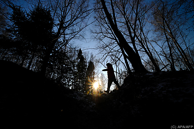 Waldbestand "hoch relevant für das Klima" - Zykeyevo, APA/AFP