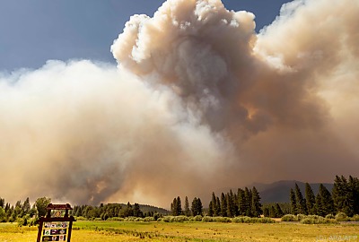 Brände in Kalifornien - IPCC warnt vor weiteren Naturkatastrophen - Plumas County, APA/AFP
