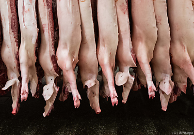 Fleisch- und Milchindustrie emittieren viele Treibhausgase
 - --, APA/dpa