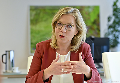 Für Gewessler ersetzt die Krise keinesfalls "mutige" Klimapolitik
 - Wien, APA/HERBERT NEUBAUER