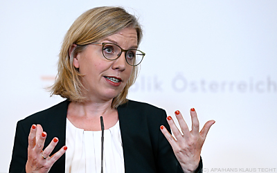 Klimaministerin Gewessler verteidigt Verschiebung der CO2-Bepreisung - Wien, APA/HANS KLAUS TECHT