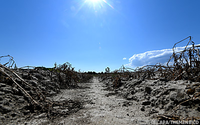 Noch macht die Politik zu wenig für unser Klima, sagen Expertinnen - Grafenwörth, APA/THEMENBILD