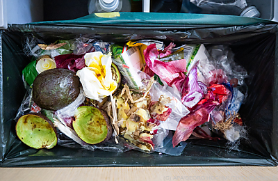 Ertrag ist noch nicht so hoch, wie bei reinem Biomüll - Wien, APA/GEORG HOCHMUTH/THEMENBILD