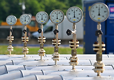 Bild der TAG – Baumgarten an der March, APA/AFP Bild der TAG - Baumgarten an der March, APA/AFP