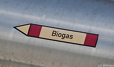 Mehr Tempo für Biogas gefordert
 - Hemmingen, APA/dpa