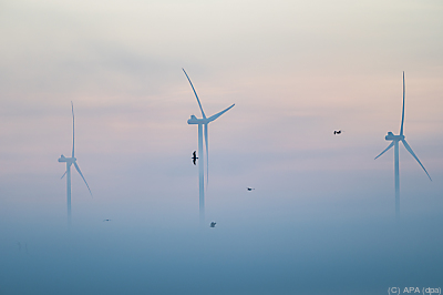 Aber zu wenig für Klimaziel
– Großenmeer, APA (dpa) Aber zu wenig für Klimaziel
- Großenmeer, APA (dpa)