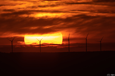 Abgabe für Windkraft im Burgenland stößt auf Kritik
 - Ochsenwang, dpa