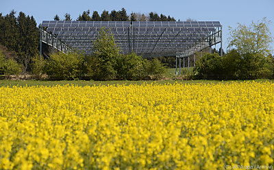 Sonnenstrom künftig auch auf Agrarflächen – Herdwangen, APA/dpa (Archiv) Sonnenstrom künftig auch auf Agrarflächen - Herdwangen, APA/dpa (Archiv)