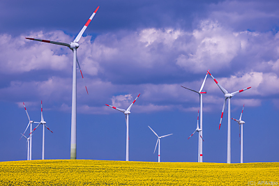 41970348767395638_BLD_Online 41970348767395638_BLD_Online