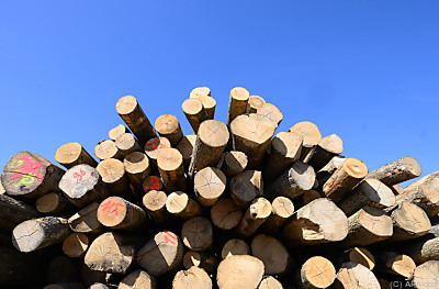 41970348769023380_BLD_Online