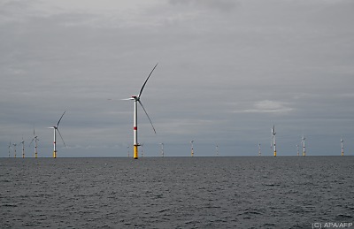 41970348769915420_BLD_Online