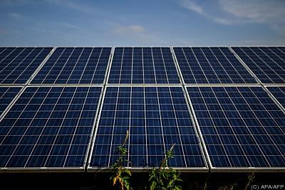 41970348769916860_BLD_Online