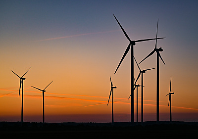 Gute Windernte im Jänner
– Jacobsdorf, APA/dpa Gute Windernte im Jänner
- Jacobsdorf, APA/dpa