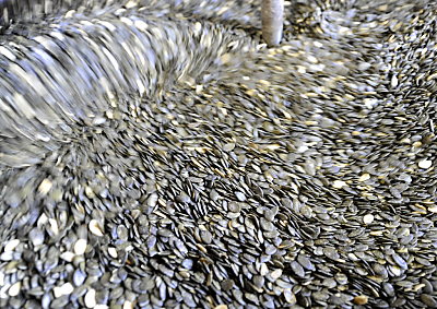 Kernölhersteller Alwera investiert in klimaschonendes Kühl- und Heizsystem
– Kalsdorf, APA Kernölhersteller Alwera investiert in klimaschonendes Kühl- und Heizsystem
- Kalsdorf, APA