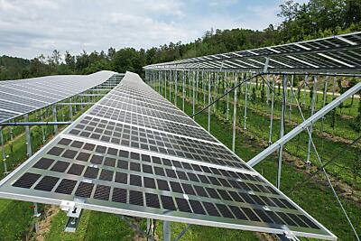 Photovoltaik als Hoffnungsträger
 - Graz, APA/VERSUCHSSTATION HAIDEGG