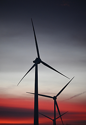 Gegenwind für Großprojekt
– Neudorf, APA/THEMENBILD Gegenwind für Großprojekt
- Neudorf, APA/THEMENBILD