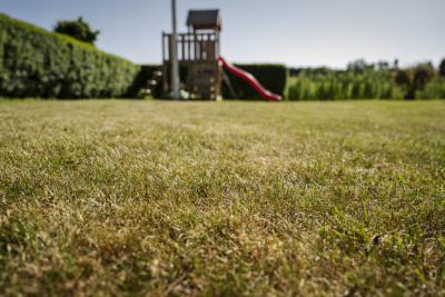 Analyse von über 10