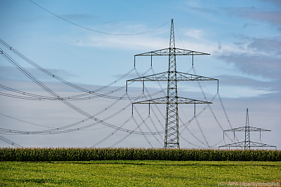 Anrainer und Umweltschützer wollten eine unterirdische Leitung
 - Niederaichbach, APA (dpa/Symbolbild)