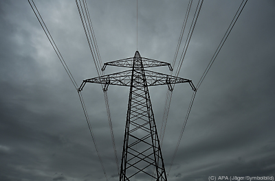Situation verschärft sich laut Experten von Jahr zu Jahr
 - Zillingtal, APA (Jäger/Symbolbild)