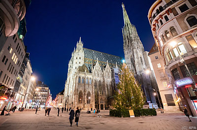 Rund um den Wiener Stephansdom wohnen die Fans der E-Autos
 - Wien, APA
