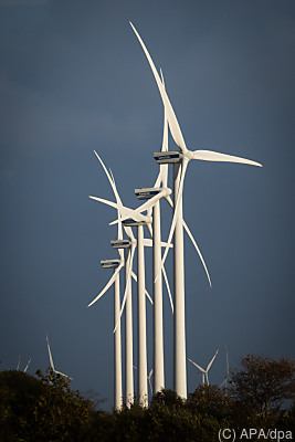 Ein Windpark in Schleswig-Holstein
– Süderlügum, APA/dpa Ein Windpark in Schleswig-Holstein
- Süderlügum, APA/dpa