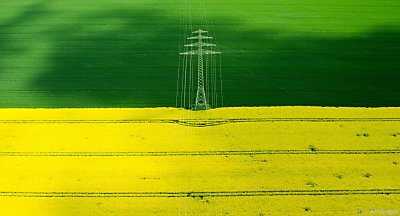 Neue Stromverbindung wird konkreter - Algermissen, APA/dpa