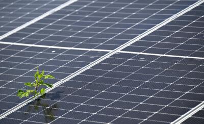 Solarzellen säumen Landstriche in Teilen Chinas
 - Gänserndorf, APA/THEMENBILD